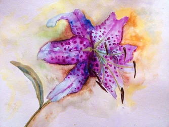 Vibrante gefleckte Lilienblüte