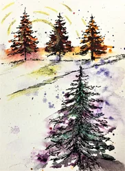 Winterwaldglanz