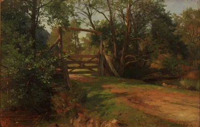 Waldpartie von Svanø in Sandefjord