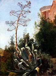 Landschaft; Süditalien