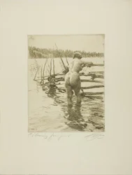 Der Zaun