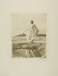 Der Schwan