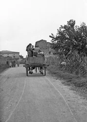 Bittere Trauben - Hin- und Rückweg zur Arbeit