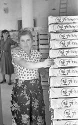 Bittere Trauben - Lagerhauslagerung