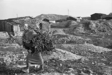 Crotone - Die Hausfrau