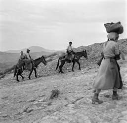 Bauern kehren von den Feldern in Lucania, Basilicata, Italien, zurück