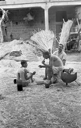 Hanfverarbeitung, Frühstück bei der Arbeit