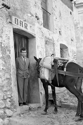 Pause mit dem Maultier