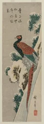 Kupferfasan am verschneiten Wasserfall, späte 1830er oder frühe 1840er Jahre
