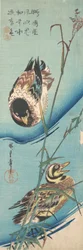 Stockenten und schneebedeckte Schilfrohre, ca. 1843