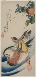 Mandarinenten und blühende Pflanzen, frühe oder mittlere 1830er Jahre