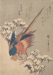 Fasan unter schneebedecktem Bambus am Hang, ca. 1840