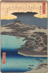 Kiefer am Karasaki