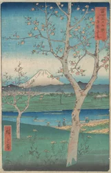 Blick auf den Berg Fuji von Koshigaya, Provinz Musashi, 4. Monat, Pferdejahr 1858