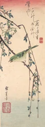 Grasmücke auf einem Pflaumenzweig, ca. 1835