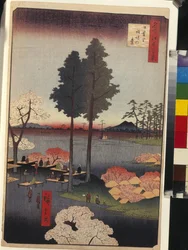 Hundert berühmte Ansichten von Edo: Suwa-Klippe in Nippori