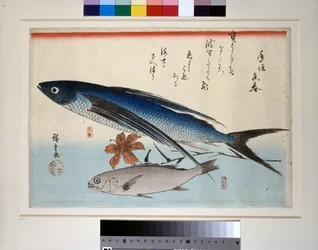Fliegender Fisch, Ishimochi-Fisch und Lilie