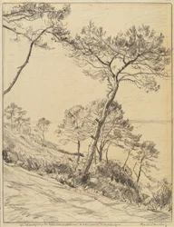 Landschaft