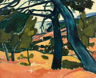 Landschaft bei Cassis