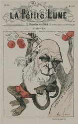 Darwin als Affe auf La Petite Lune
