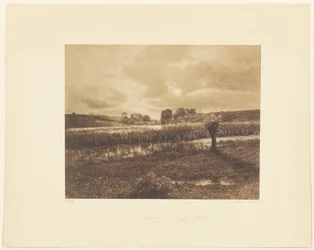 [Die Teiche von Optevoz, Rhône]