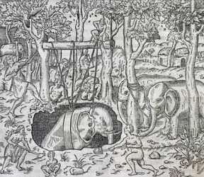 Elefantenjagd auf der Insel Java, Stich aus 