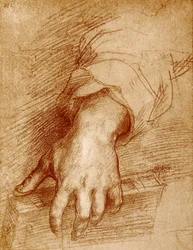 Madonnahand mit Buch