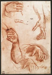 Studie von Händen