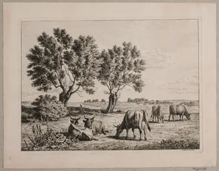 Landschaft mit grasenden Kühen