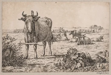 Landschaft mit Kühen