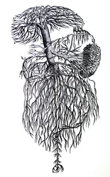 Die Tafeln aus dem dritten Buch der 