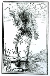 Gefäßsystem des Körpers