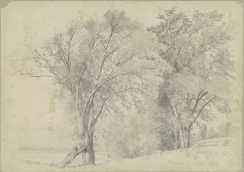 Ulmen, Hudson