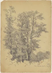 Eichen, Wolf Hill, Ulster County