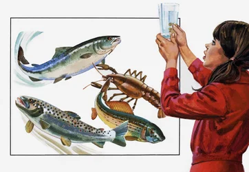 Jetzt ist das Wasser, das gewaschen werden muss!