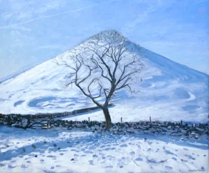 Hügel und Baum, Derbyshire, 2008