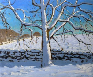 Schneebedeckter Baum, 2011