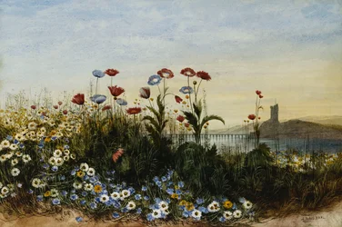 Ferry Carrig Castle, Co. Wexford, durch eine Blumenbank gesehen