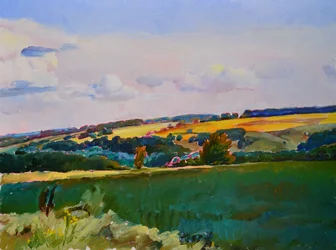 Landschaft mit sanft geschwungenen Feldern