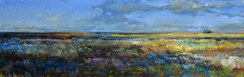 Weite Prärie-Landschaft