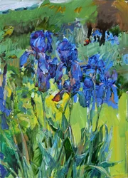 Lebhafte blaue Iris