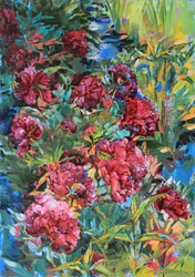 Lebhafte Gartenblüten