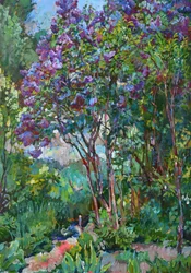 Lebendiger Flieder Garten