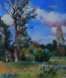Lebendige Sommerlandschaft