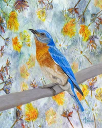 Blaukehlchen unter Blumen