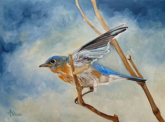 Blaukehlchen im Flug
