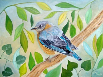 Sanfter Waldbird