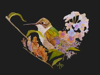 Kolibri Herzblumen