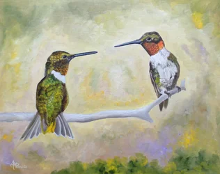 Kolibri-Paar auf Sitzplatz