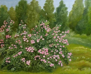 Friedlicher Rosengarten